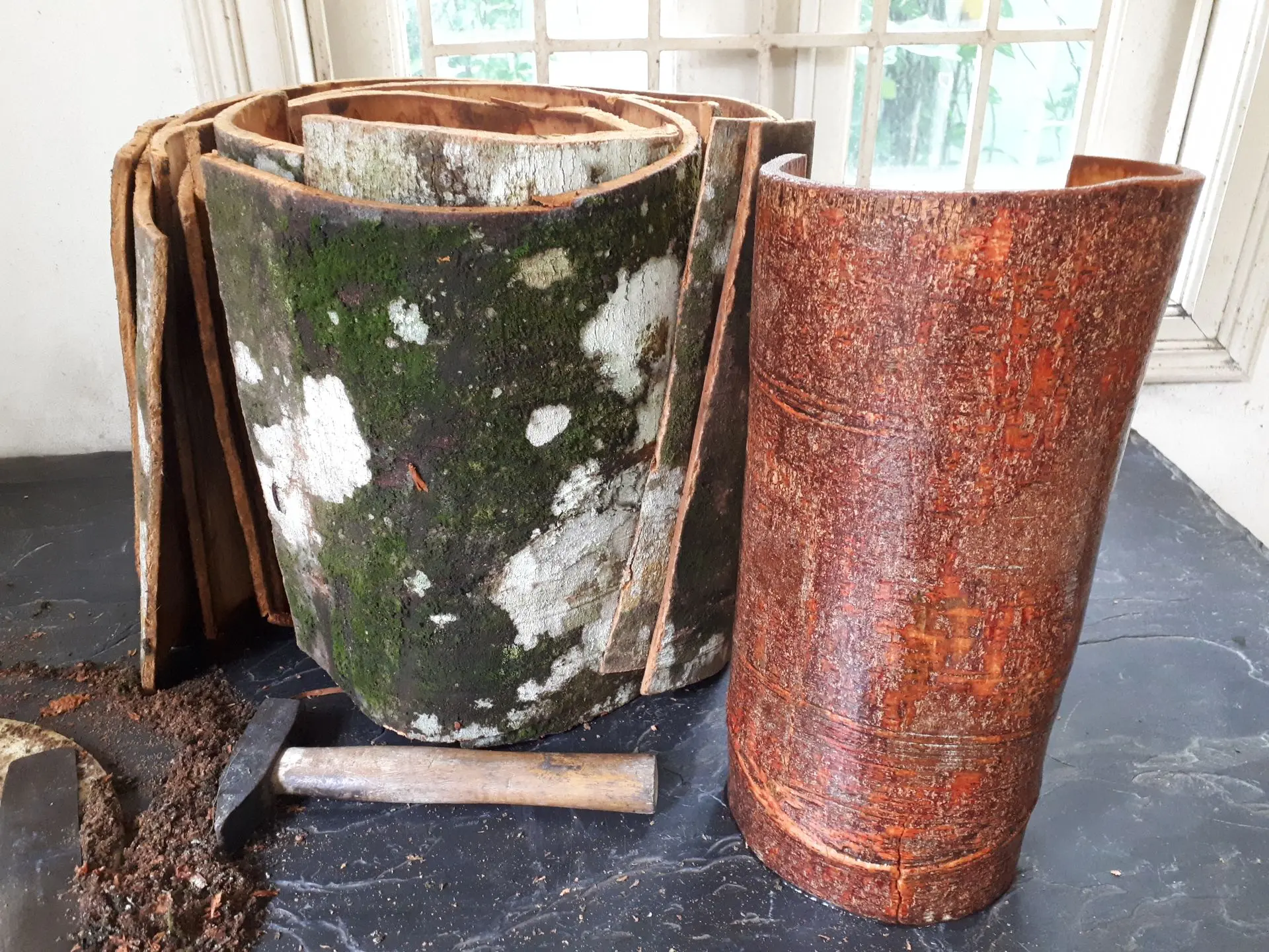 processus fabrication cannelle